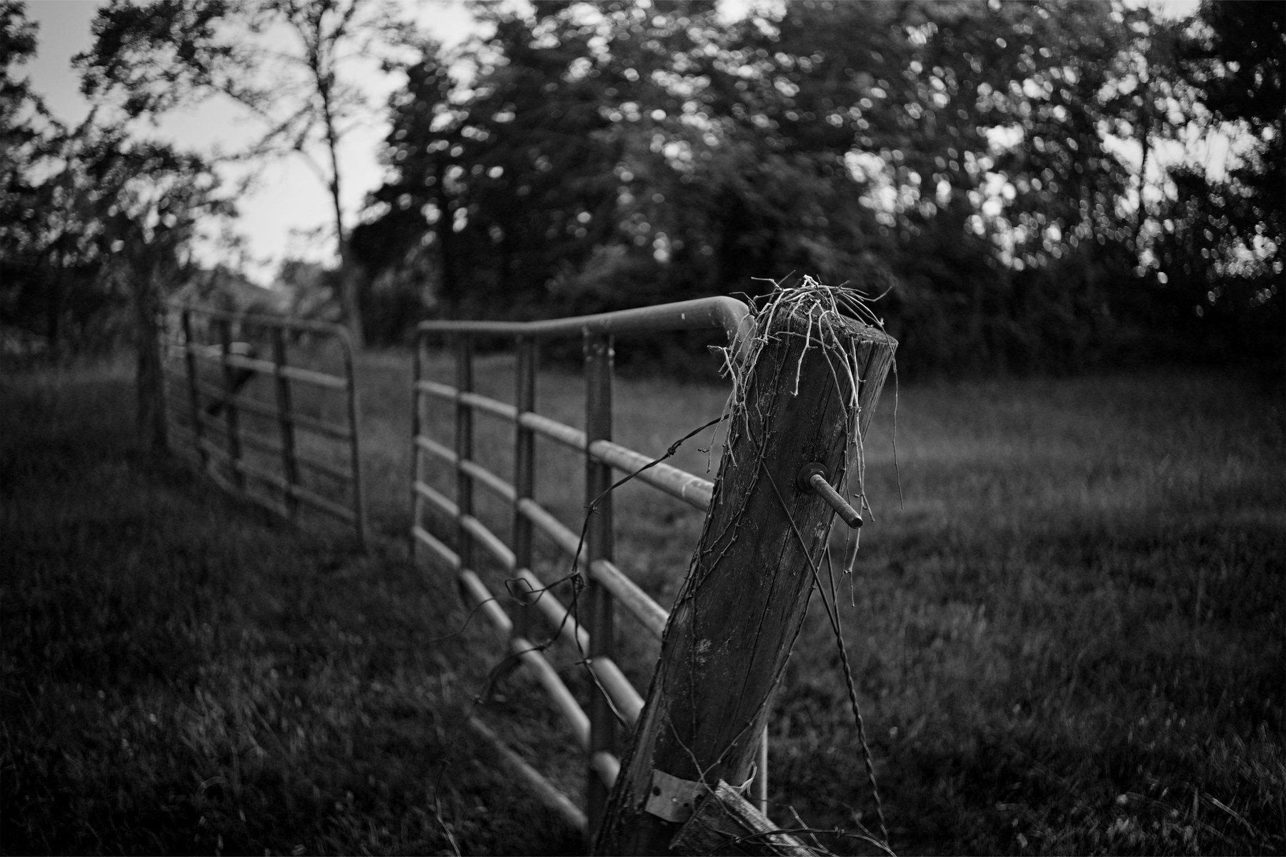 A quiet fence and field photographed in black and white